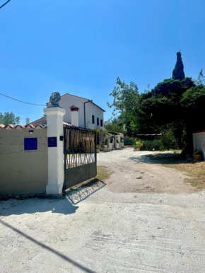 Villa Roža
